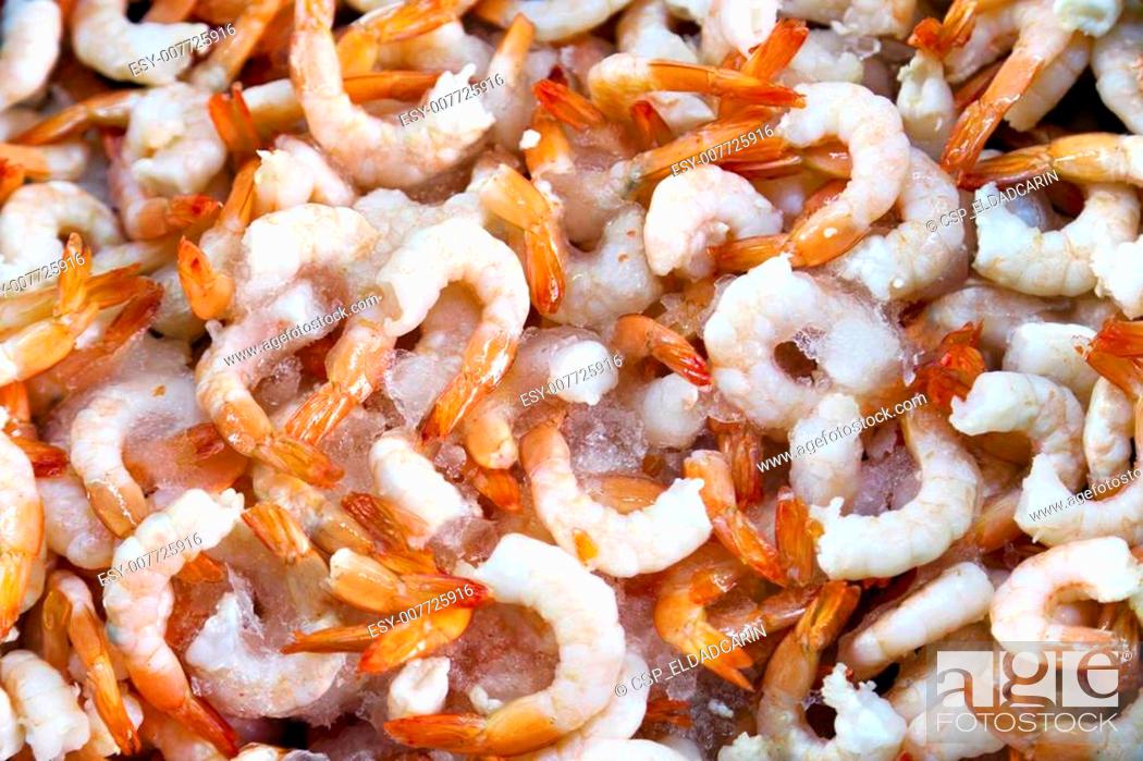 Stock Photo: Shrimps for Sale.