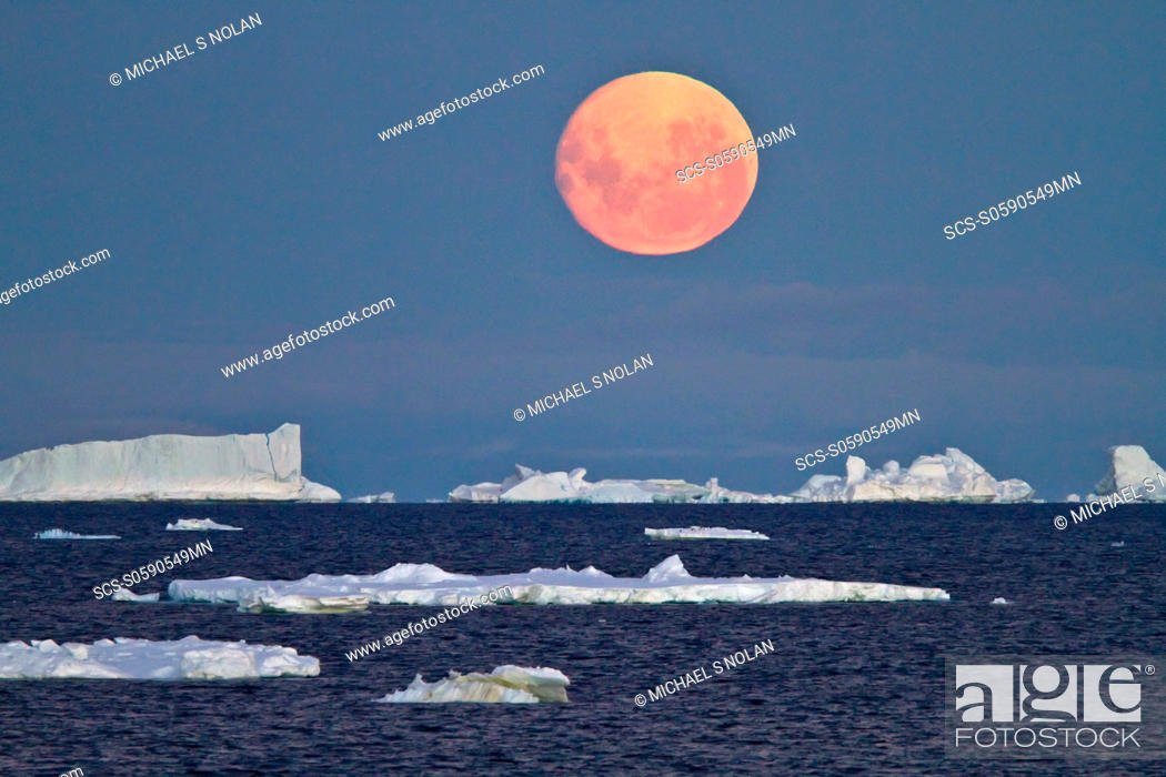 Photo de stock: Full moon plus 1 day rising over icebergs in the Weddell Sea, Antarctica MORE INFO This moonrise occurred on January 1, 2010.