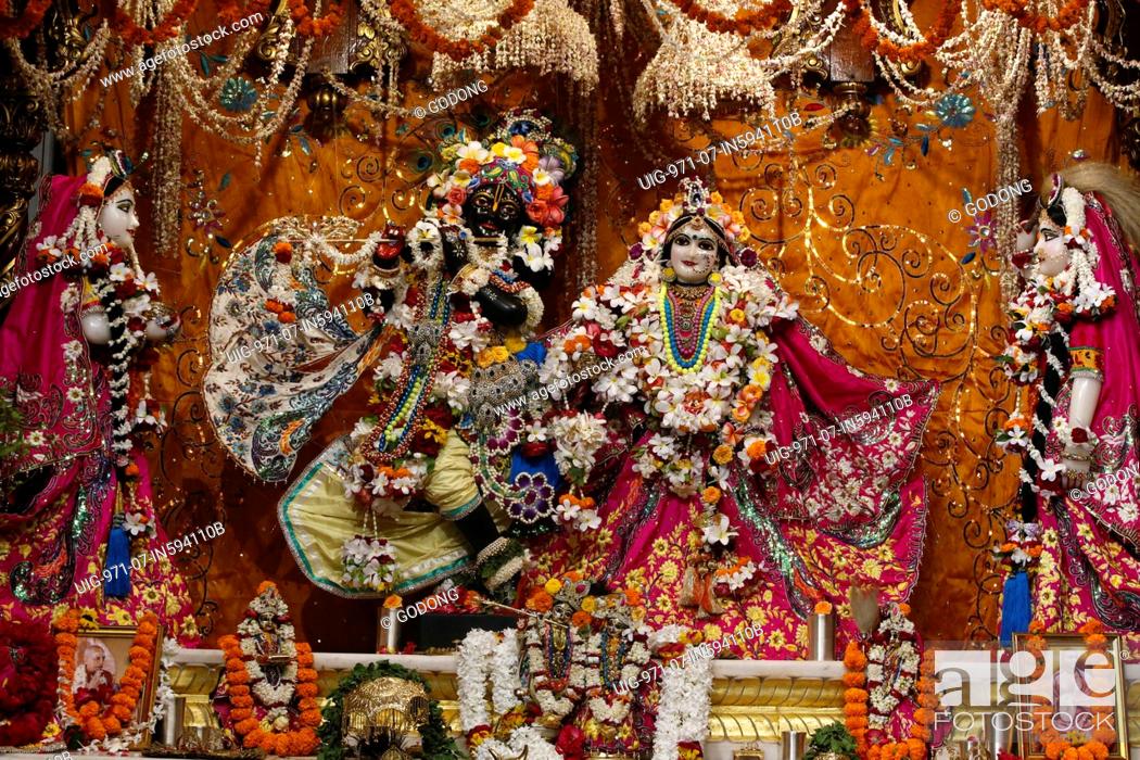 Krishna-Radha murthis with Gopi, Lalita and Vishakha at the central altar  of Krishna-Balaram temple, Stock Photo, Picture And Rights Managed Image.  Pic. UIG-971-07-IN594110B | agefotostock