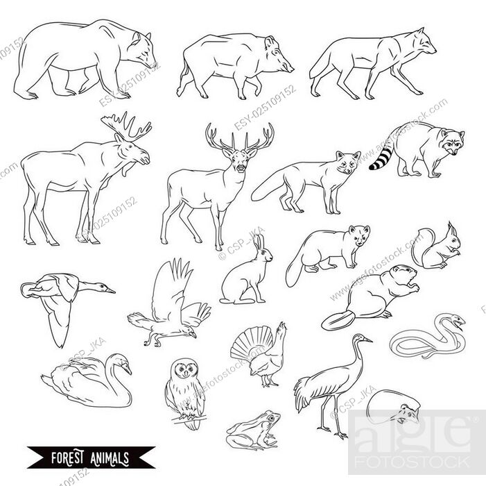 Forest animals silhouettes vintage. Vector illustration in line art  isolated, Stock Vector, Vector And Low Budget Royalty Free Image. Pic.  ESY-025109152 | agefotostock