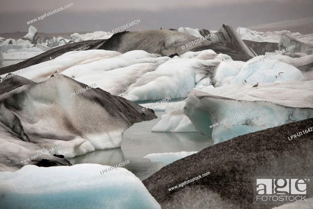 Stock Photo: Frozen blue icebergs in a glacial lake.