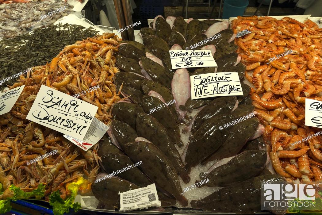 Stock Photo: Fresh European flounders (Platichthys flesus), left scampi (scampo), right Spiny lobsters (Palinuridae) on ice, fish market, Veneto, Italy, Europe.
