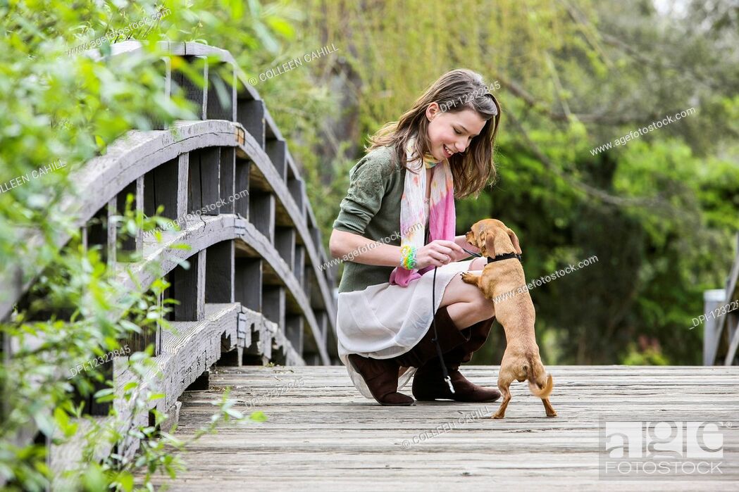 Photo de stock: A young woman on a wooden bridge with her small dog; Washington, United States of America.