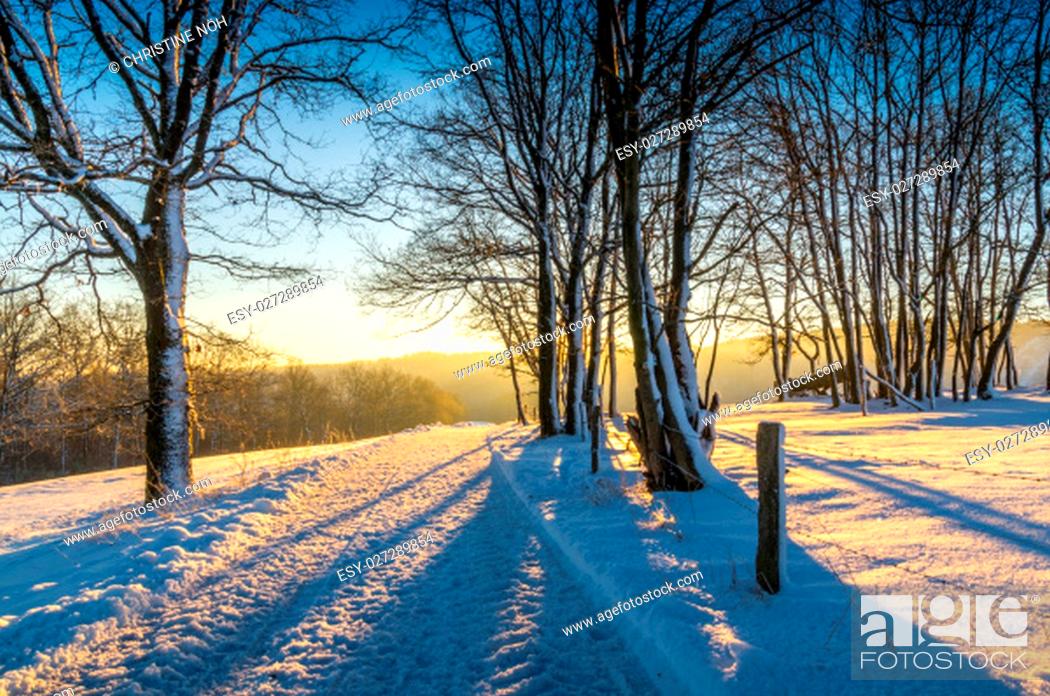 Stock Photo: Nature, Holiday, Natural, Landscape, Germany, Season, Scenic, Winter, Country, Forest, Snow, Vacation, German, Morning, Weather, Cold Temperature, Sunrise, Hiking, Mood, Snow Covered, Snowy, Frost, Weiss, Snowfall, Snowing, Go, Federal Republic, Wonderful, Icy, Highlands