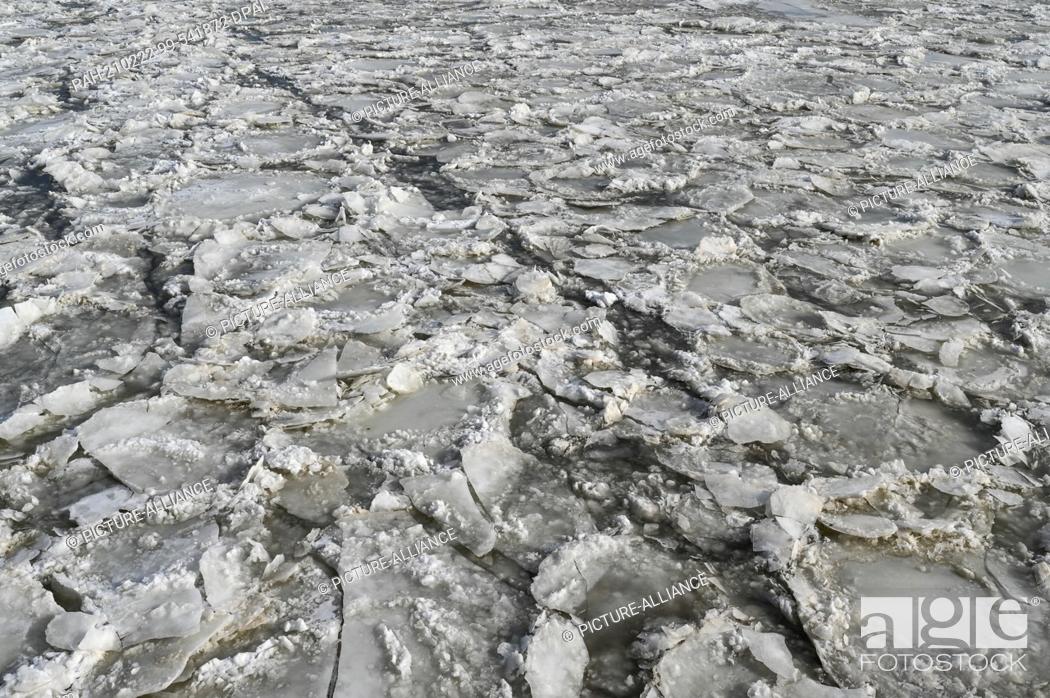 Stock Photo: 18 February 2021, Brandenburg, Schwedt: Ice floes on the German-Polish border river Oder have frozen together. Drift ice is increasing the danger of flooding in.