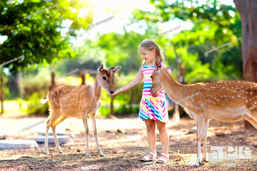 Child feeding wild deer at petting. Kids feed animals at outdoor safari  park, Stock Photo, Picture And Low Budget Royalty Free Image. Pic.  ESY-041643491 | agefotostock