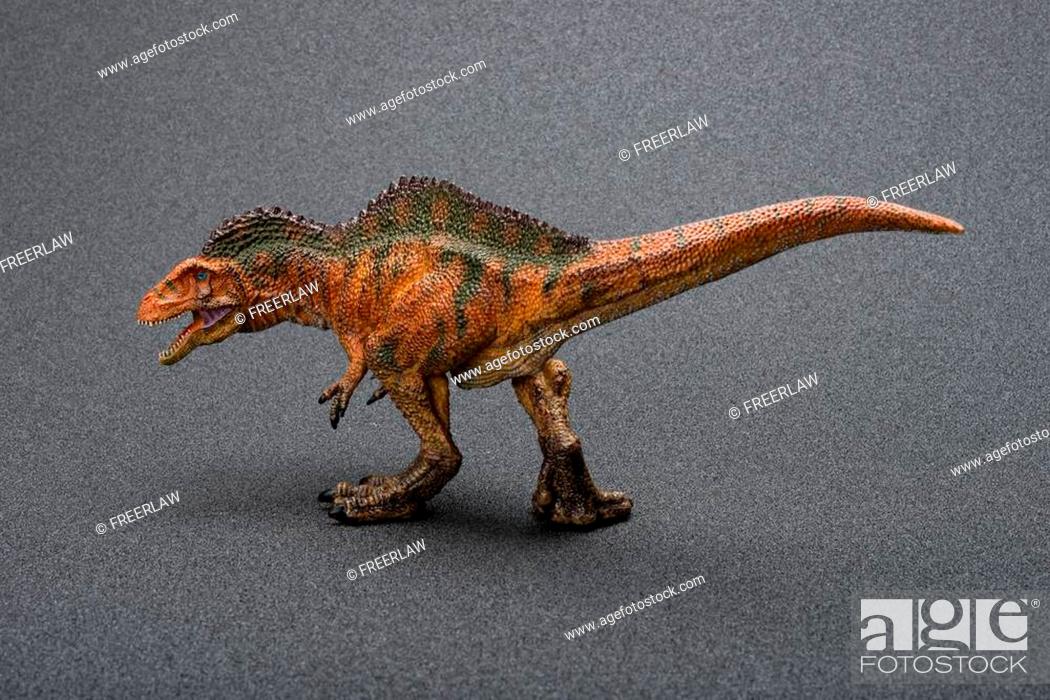 Stock Photo: side view acrocanthosaurus toy with shadow on a dark background.