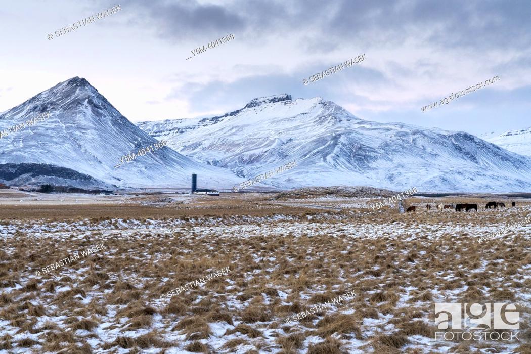 Stock Photo: Winter Icelandic Road Trip, Ring Road near Hofn, Eastern Region. Iceland, Europe.