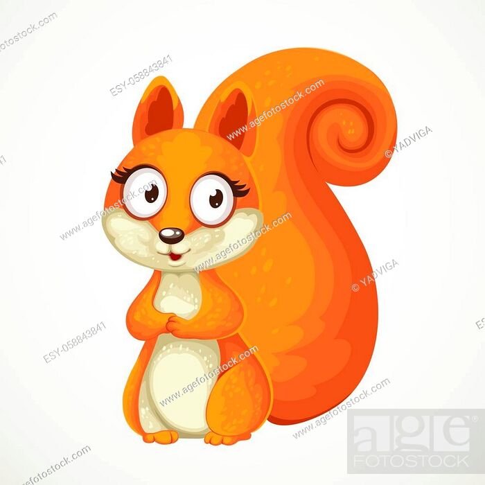 Cute cartoon squirrel isolated on white background, Stock Vector, Vector  And Low Budget Royalty Free Image. Pic. ESY-058843841 | agefotostock