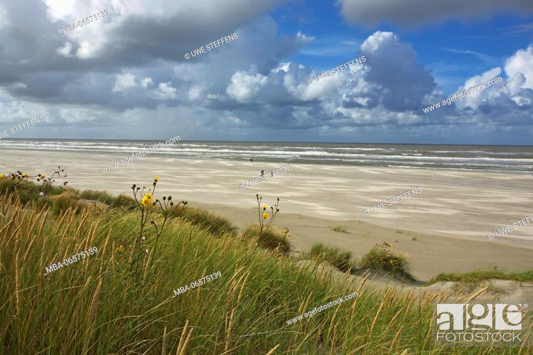 Stock Photo: Cumulus clouds above the north beach of the island Langeoog.