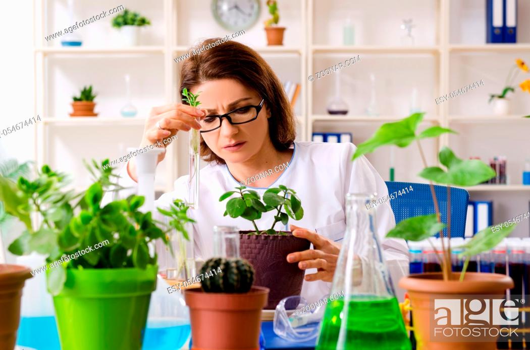 Stock Photo: The old female biotechnology chemist working in the lab.