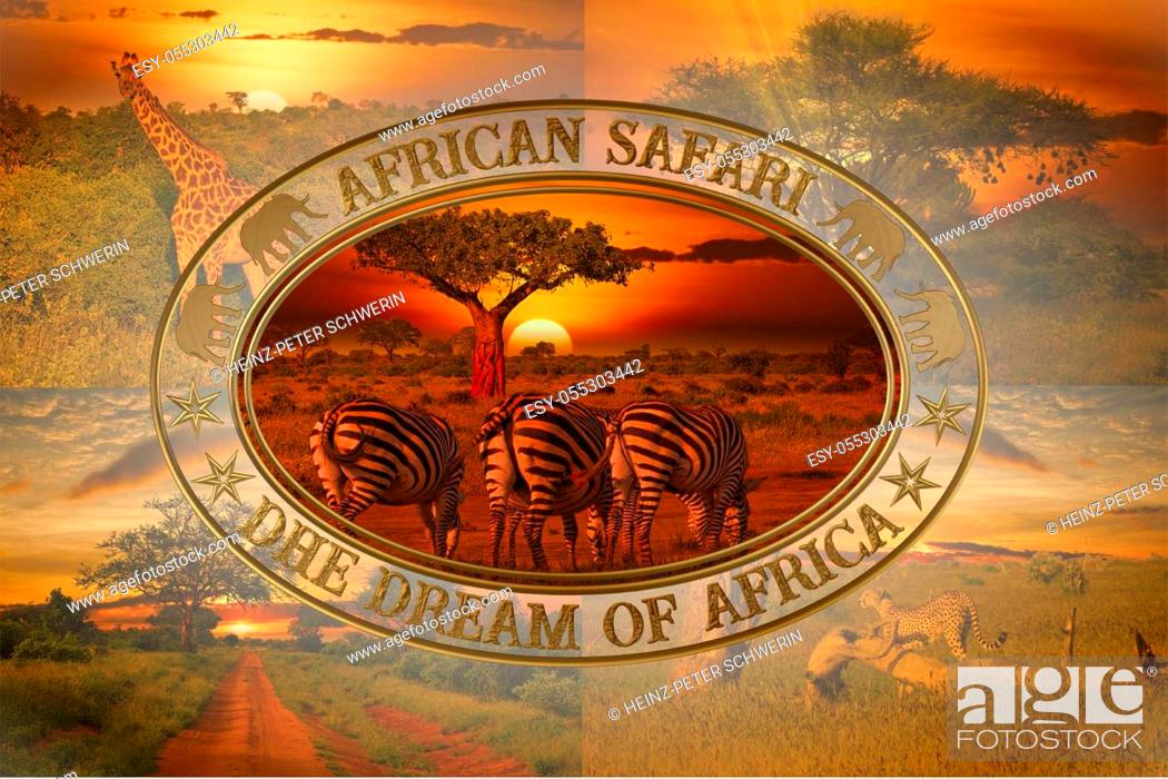 Stock Photo: Beautiful pictures of Africa sunset and sunrise with elephants and giraffes.