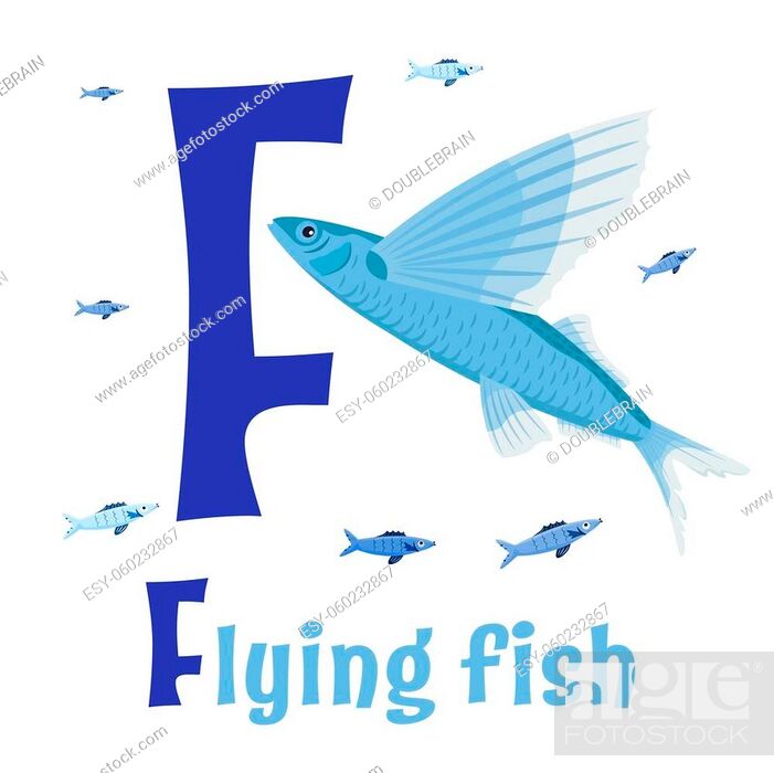 Sea animals alphabet. ABC for children. Letter F. Flying fish, Stock  Vector, Vector And Low Budget Royalty Free Image. Pic. ESY-060232867 |  agefotostock