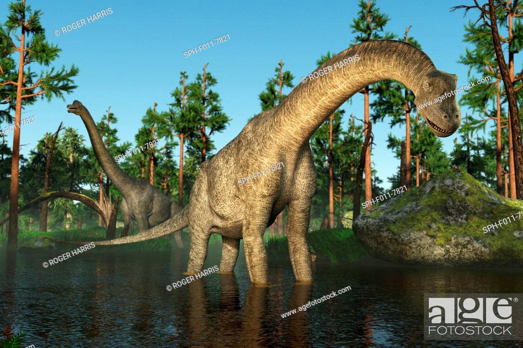 Stock Photo: Brachiosaurus, computer illustration.