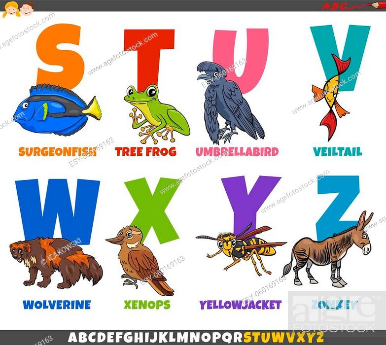 Cartoon illustration of educational colorful alphabet set from letter S to  Z with funny animal..., Stock Vector, Vector And Low Budget Royalty Free  Image. Pic. ESY-060169163 | agefotostock
