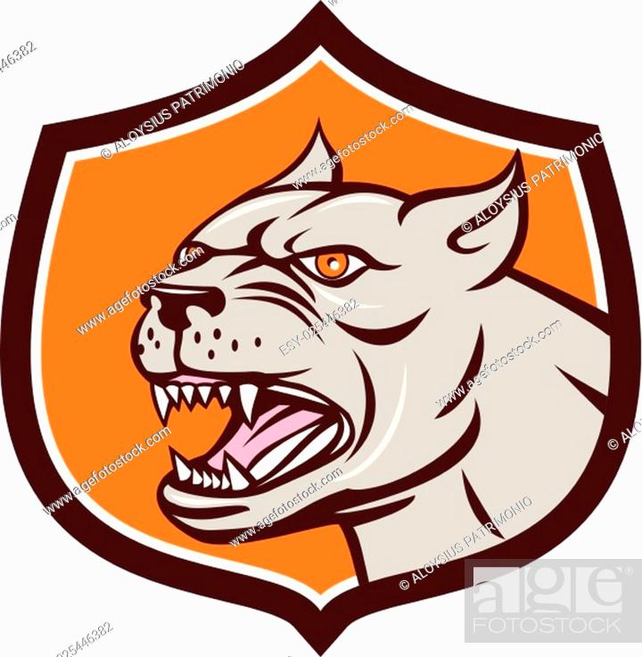 Illustration of an angry pitbull dog mongrel head viewed from the side set  inside shield crest on..., Stock Vector, Vector And Low Budget Royalty Free  Image. Pic. ESY-025446382 | agefotostock