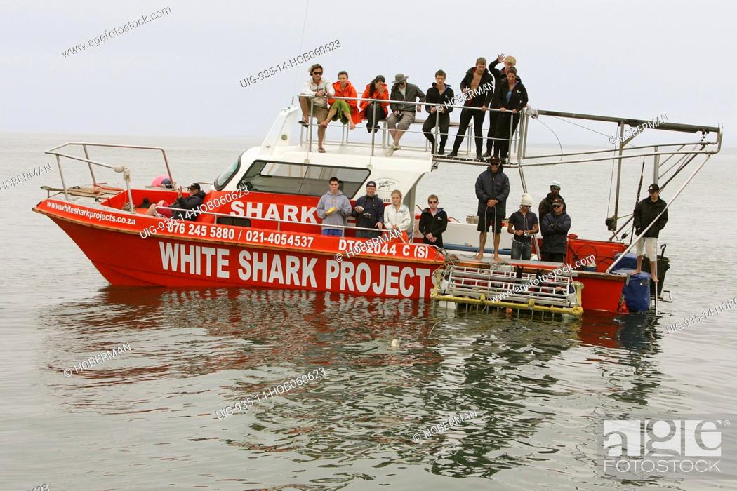 Stock Photo: Tourists on Great White Shark Dive, Dyer Island, Danger Point Peninsula, South Africa.