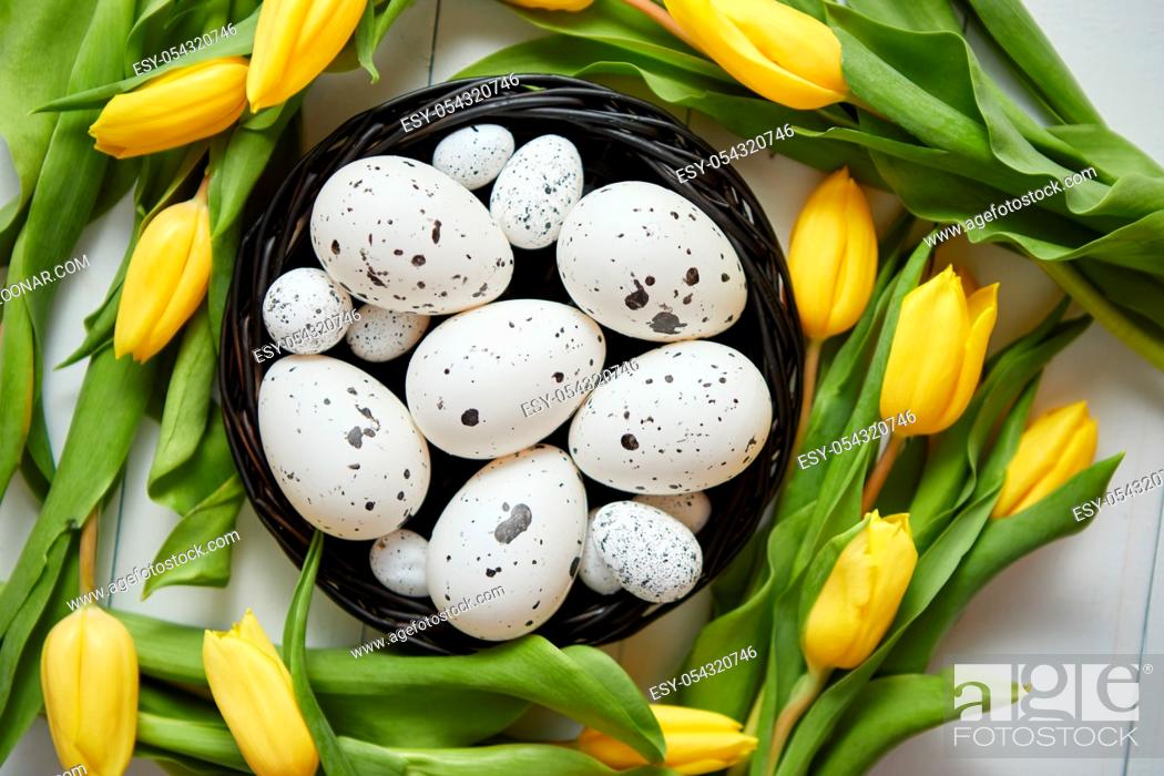 Imagen: Beautiful yellow tulips with dotted quail and chicken eggs in nest on white wooden background. Spring and Easter holiday concept with copy space.