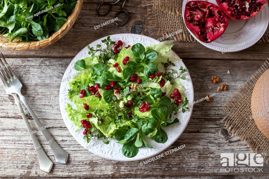 Stock Photo: Spring salad with wild chickweed, nut lettuce and pomegranate.