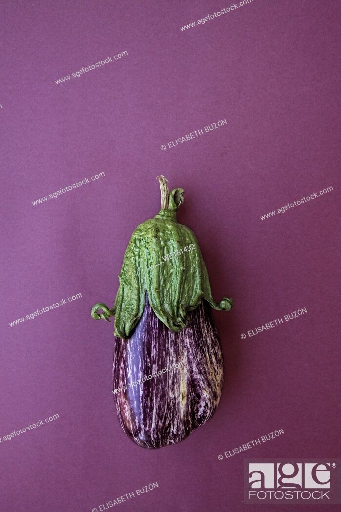 Imagen: Eggplant with white fur on white background.