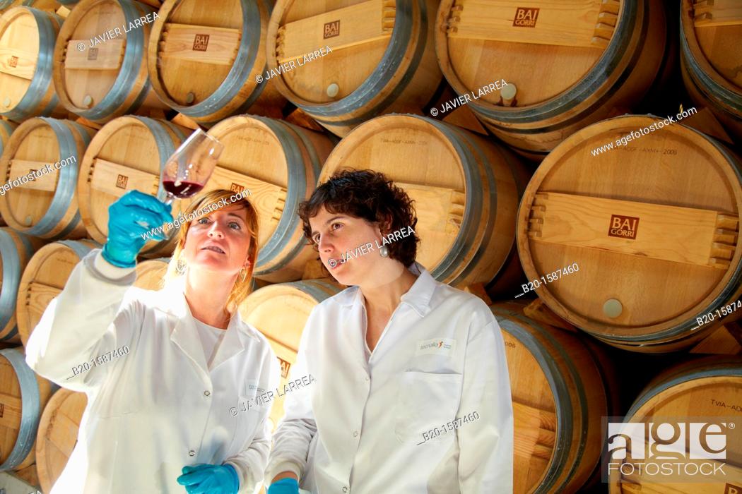 Stock Photo: TECNALIA Researchers conducting a quality control of wine during the course of breeding in the barrel cellar, Bodegas Baigorri, Samaniego, Araba, Rioja Alavesa.