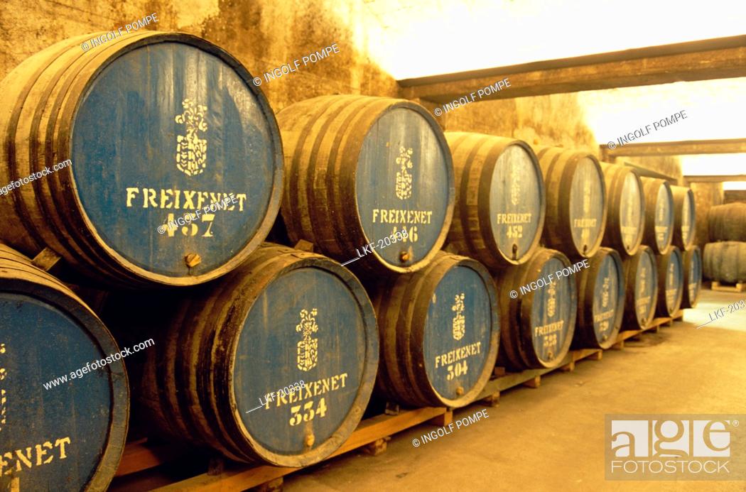 Stock Photo: Barrels in the wine cellar, Freixenet, Cava Cellar, Sant Sadurni d'Anola, Catalonia, Spain.
