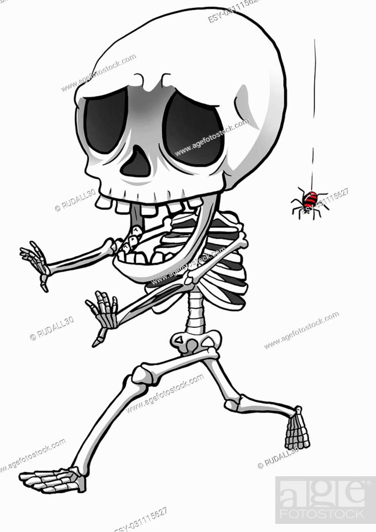 Cartoon illustration of a funny skeleton afraid of spider, Stock Photo,  Picture And Low Budget Royalty Free Image. Pic. ESY-031115627 | agefotostock
