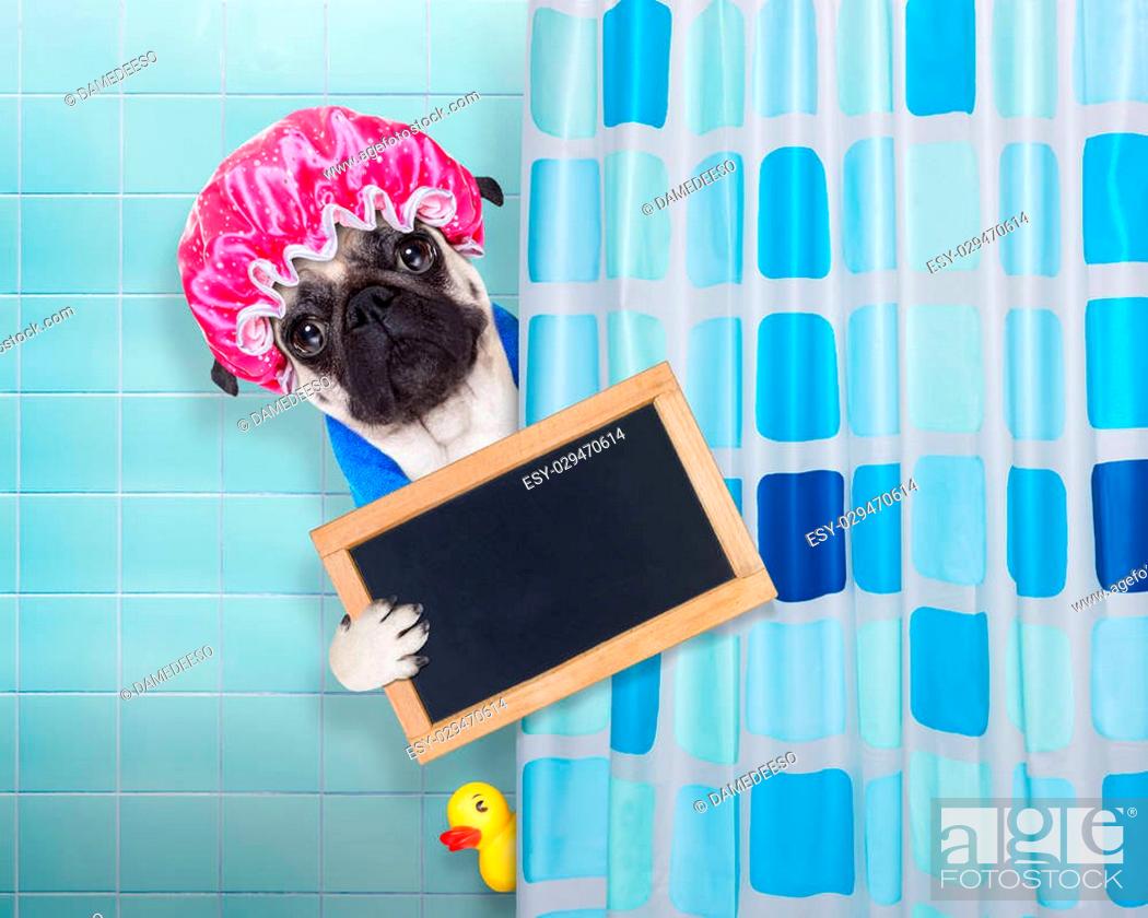 Pug Dog In A Bathtub Not So Amused, Yellow Plastic Shower Curtain