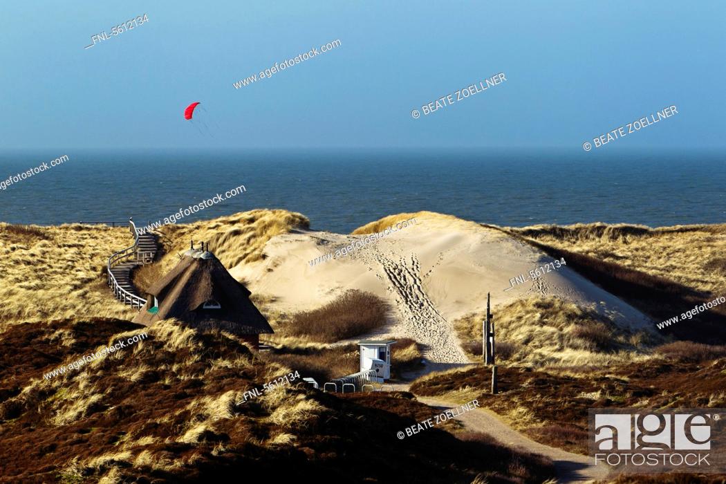 Stock Photo: Dunes near Kampen, Sylt, Schleswig-Holstein, Germany, Europe.
