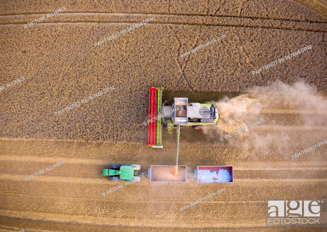 Stock Photo: 06 August 2019, Mecklenburg-Western Pomerania, Lützow: The farmers harvest the market crop Lützow on a wheat field with combine harvesters.