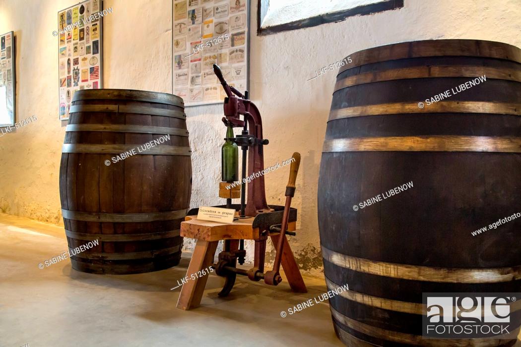 Stock Photo: Wine barrels, museum El Grifo, wine region La Geria, Lanzarote, Canary Islands, Spain.