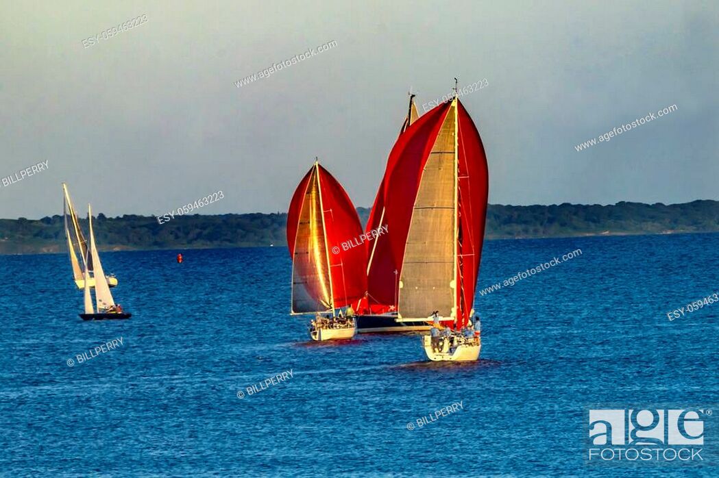 Stock Photo: Evening Races Colorful Sailboats Spinnakers Racing Padanaram Harbor Buzzards Bay Dartmouth Masschusetts.