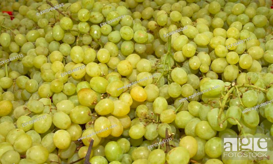 Stock Photo: A grape is a fruiting berry of the deciduous woody vines of the botanical genus Vitis. Grapes can be eaten raw or they can be used for making wine, jam, juice.
