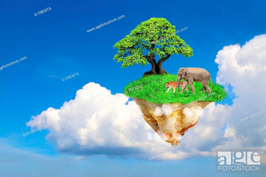 Nature reserve concept. Flying Island. Fantasy floating island with green  grass, tree, Stock Photo, Picture And Low Budget Royalty Free Image. Pic.  ESY-060637327 | agefotostock
