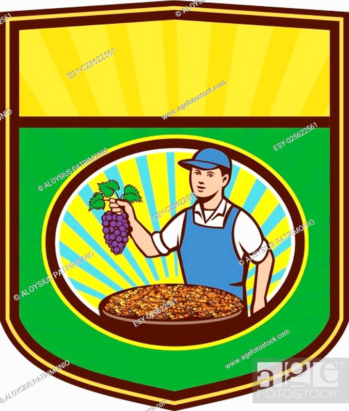 Stock Vector: Illustration of an organic farmer boy wearing hat holding grapes with a bowl of raisins in front of him viewed from front set inside shield crest with sunburst.