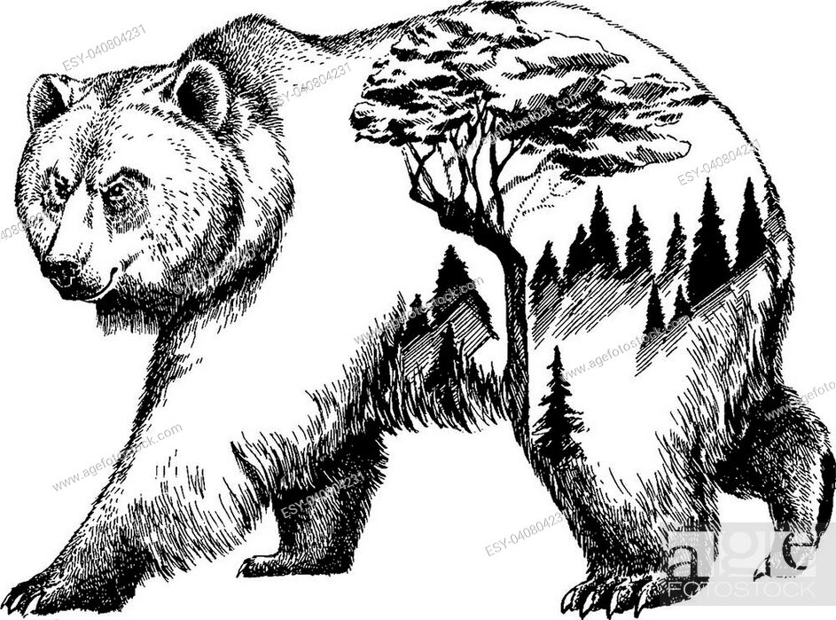 Bear Mascot Clipart  Grizzly bear drawing, Bear art, Grizzly bear tattoos