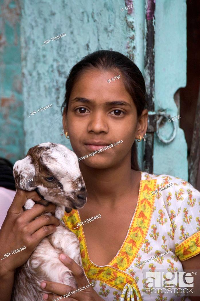 Young Indian girl holding a lamb, Udaipur, Rajasthan, India, South Asia,  Stock Photo, Picture And Rights Managed Image. Pic. IBR-1068460 |  agefotostock