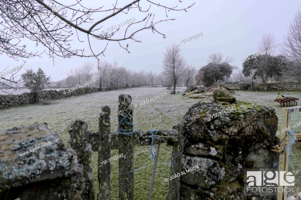 Stock Photo: The stone walled pastures of the Mirandese Plateau in a cold winter morning.
