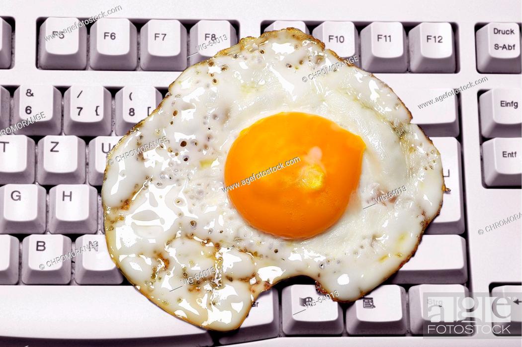 computer egg