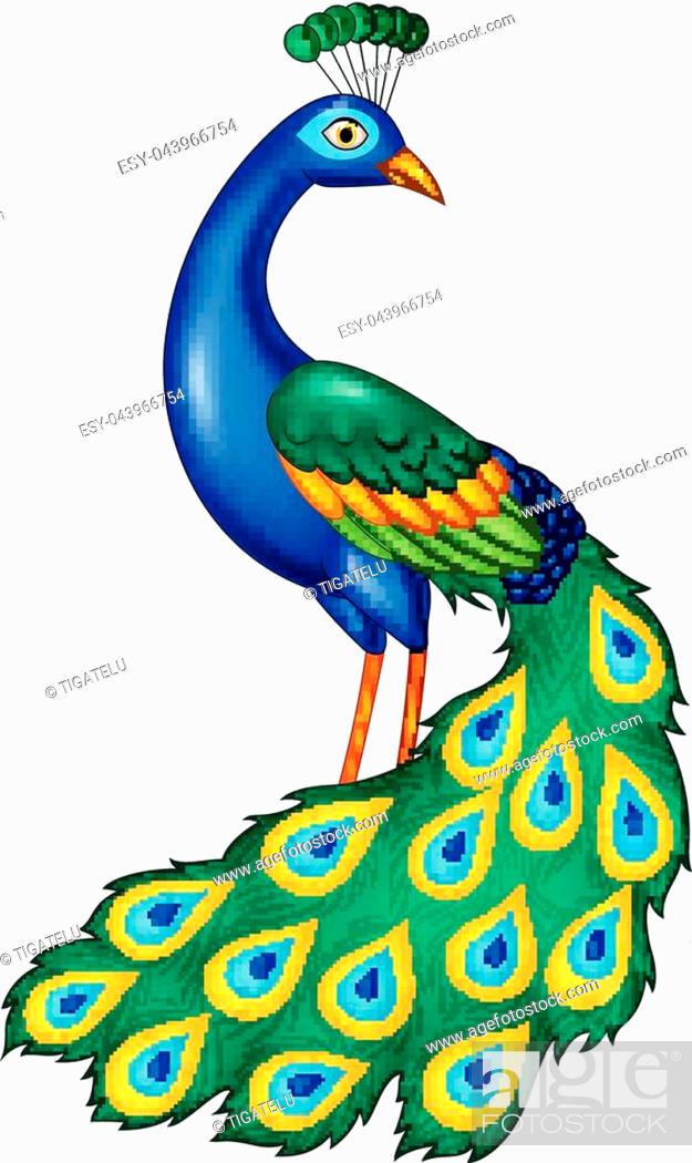 Aggregate more than 150 outline peacock drawing super hot