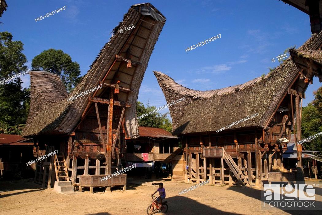 Photo de stock: Indonesia, Sulawesi Celebes, Toraja land, Tana Toraja, traditional Toraja house tongkonan in Palawa village.