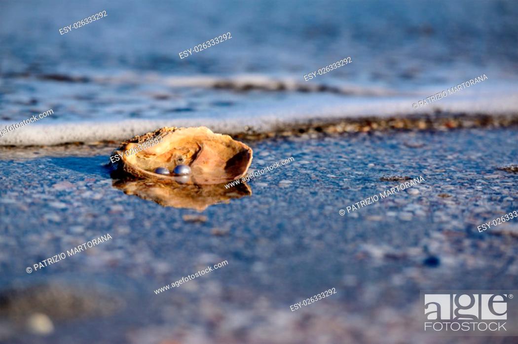 Stock Photo: Australian pearls over an old shell on the beach washed by the waves of the sea.