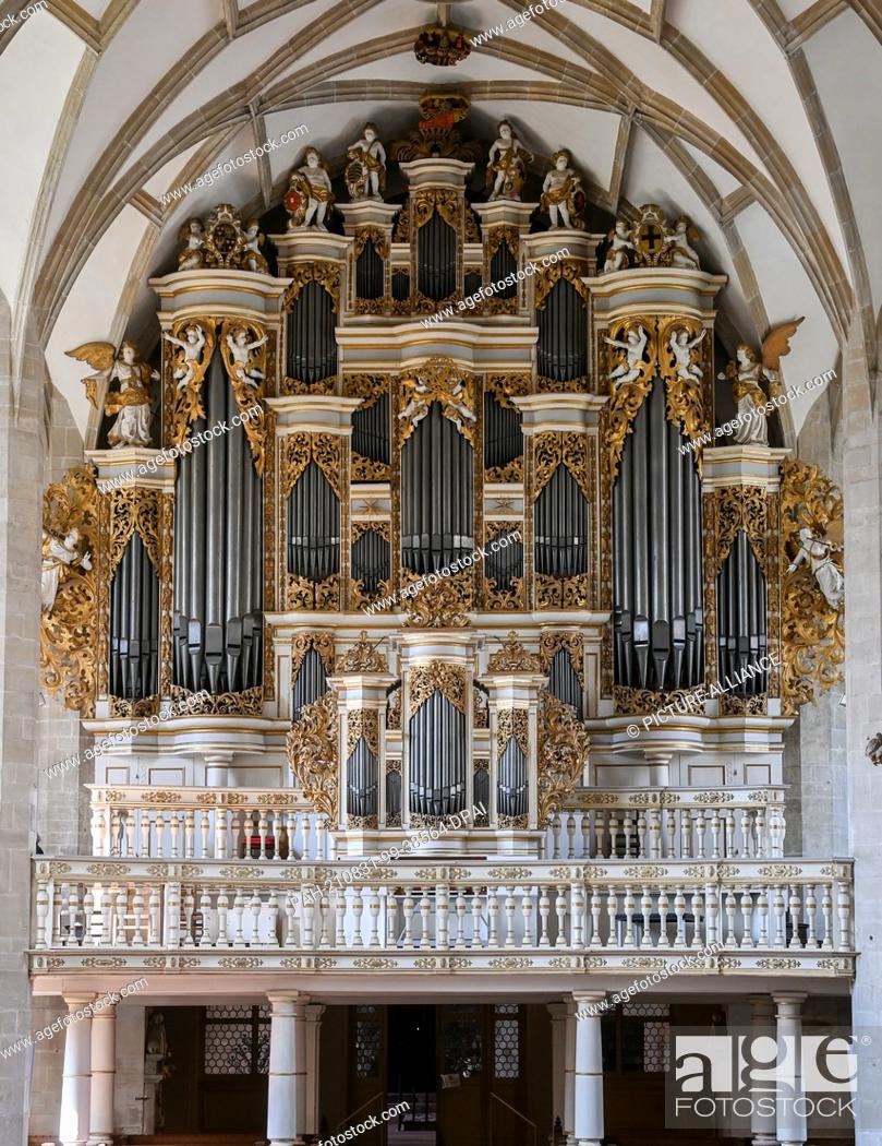 Stock Photo: 31 August 2021, Saxony-Anhalt, Merseburg: The Ladegast organ in Merseburg Cathedral stands majestically. The organ with its baroque facade and 5687 pipes is one.
