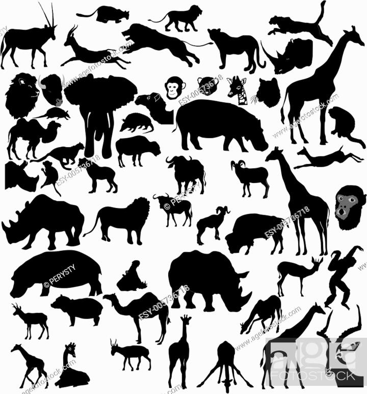 Stock Vector: Big set of African and tropical animals.