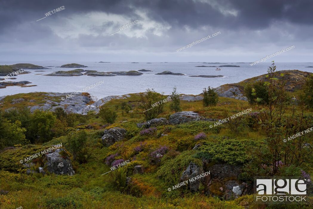 Stock Photo: Norwegian landscapes on a cloudy, rainy day. Northern Atlantic, Norway.