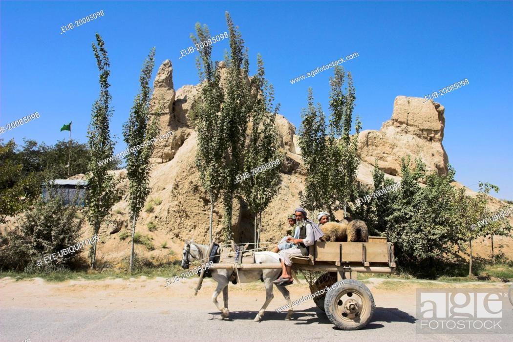 Stock Photo: Men in horse and cart with sheep in back ride past ancient walls of Balkh mostly built in the Timurid period.
