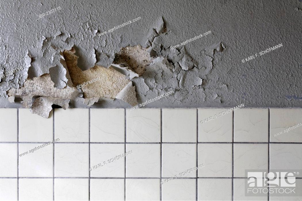 Stock Photo: Crumbling paint above tiles, washroom in a dilapidated building, disused switching yard station, Duisburg-Wedau, Ruhr Area, North Rhine-Westphalia, Germany.
