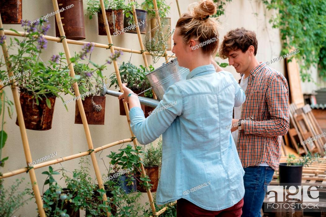Stock Photo: Young man and woman tending to plants growing in cans, young woman watering plants using watering can.