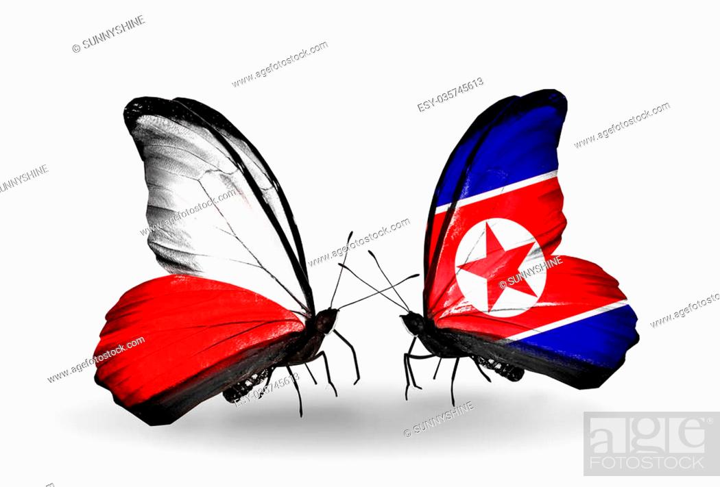 Stock Photo: Two butterflies with flags on wings as symbol of relations Poland and North Korea.