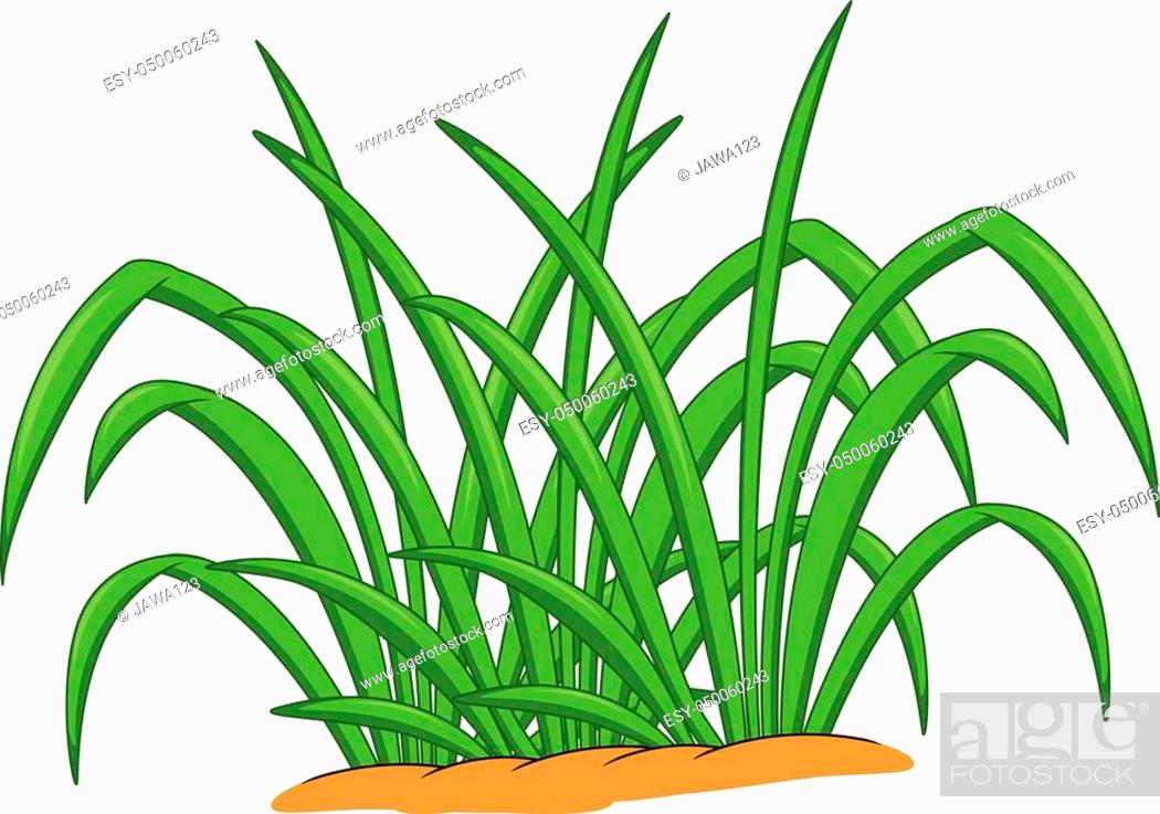 vector illustration of funny grass cartoon, Stock Vector, Vector And Low  Budget Royalty Free Image. Pic. ESY-050060243 | agefotostock